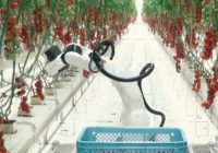 Denso Corporation invierte en robotizar el sector agrícola