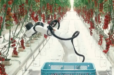 Denso Corporation invierte en robotizar el sector agrícola